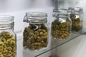 Missoula County voices support for marijuana banking act