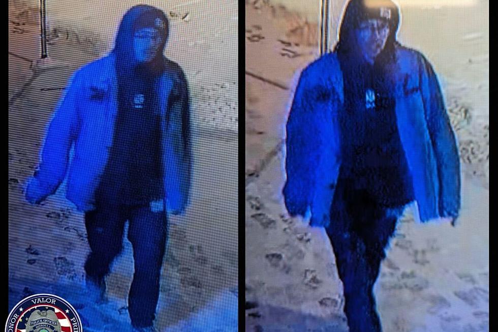 Missoula Police Department Looking For Vandal, Asks For Public’s Help