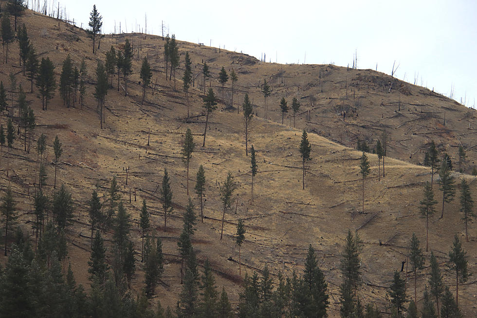 Montana's Weird "Snow Drought" MIGHT End Soon