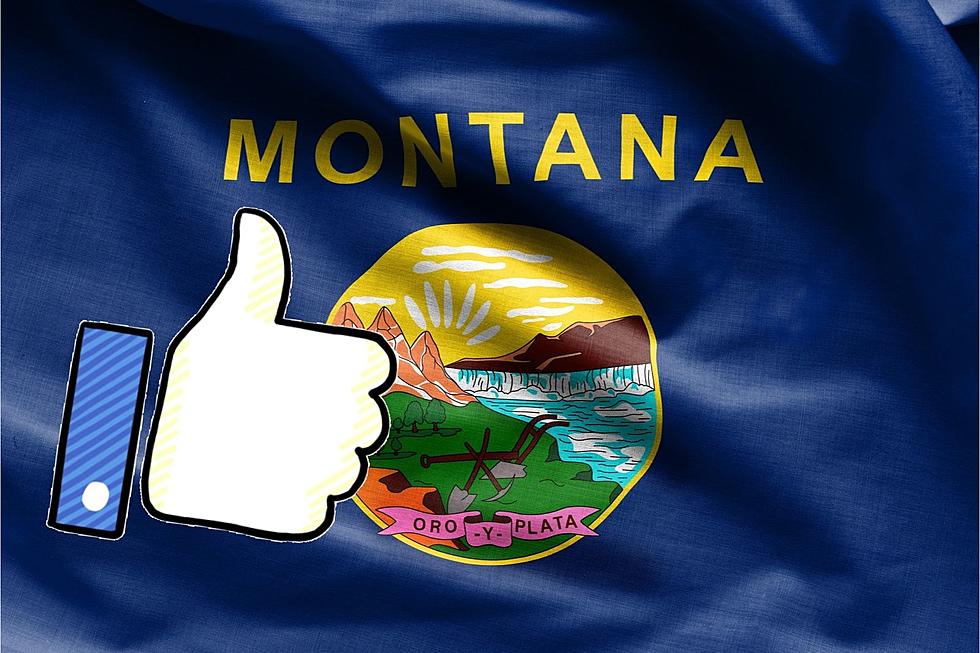 Top 10 Montana GIFS