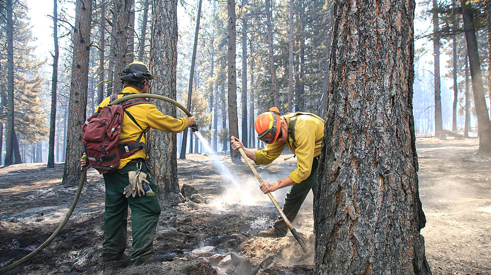 Want an Exciting Job? Forest Service Wants Montana Firefighters