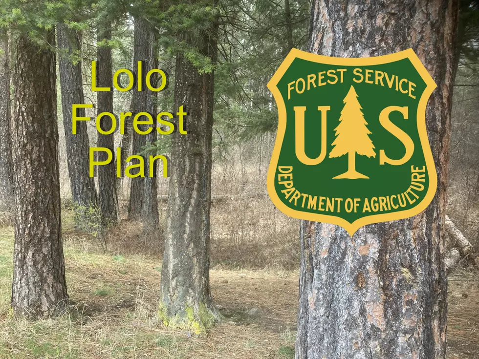 Time Running Out to Comment on Important Lolo Forest Plan