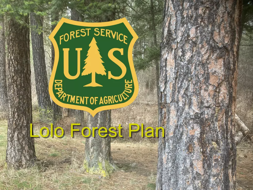Time Running Out to Comment on Important Lolo Forest Plan