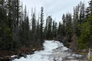 Montana Forestry Specialist on the Annual Earth Day Commemoration