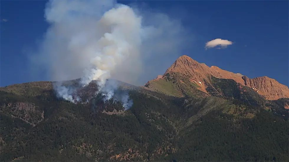 Montana Might Avoid Dangerous Fire Season, If You Help