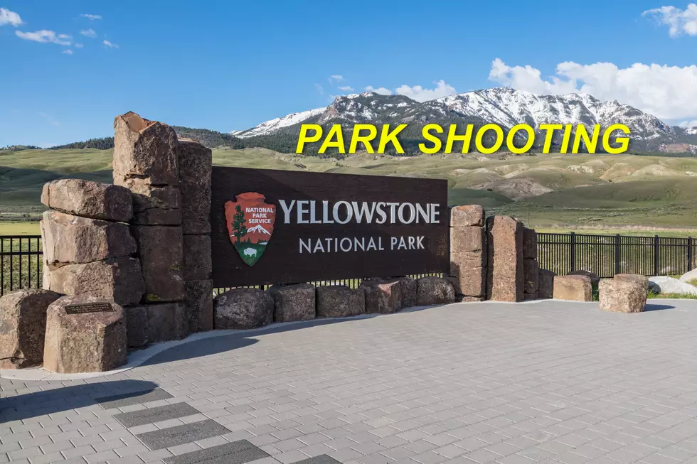Investigators: Man was Planning ‘Mass Shooting’ in Yellowstone