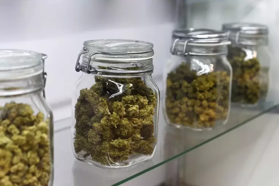 City pauses new pot dispensaries, creates sanctions for underage sales