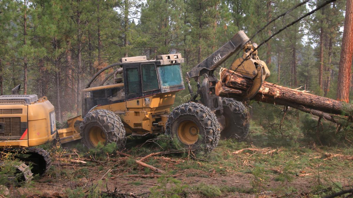 Montana News Roundup: Praise and Panic for Roadless Rule Change