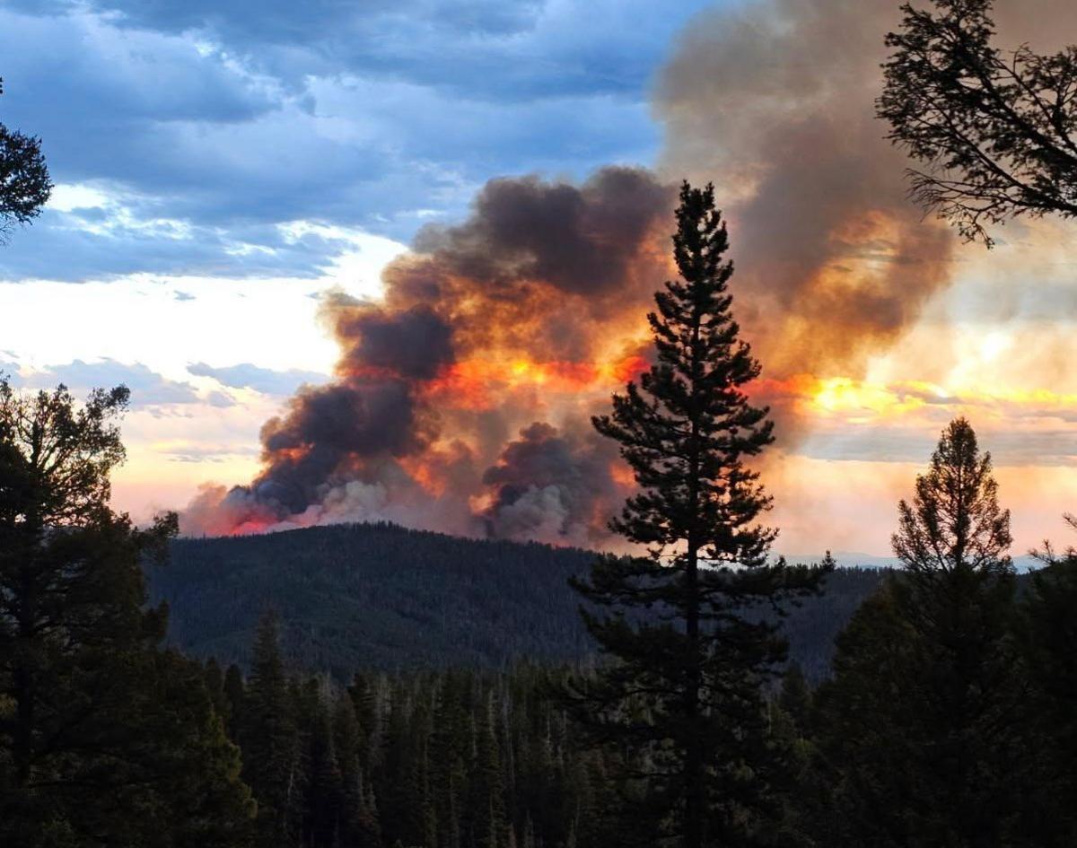 Montana Wildfire Season Shows Major Decrease In Damage