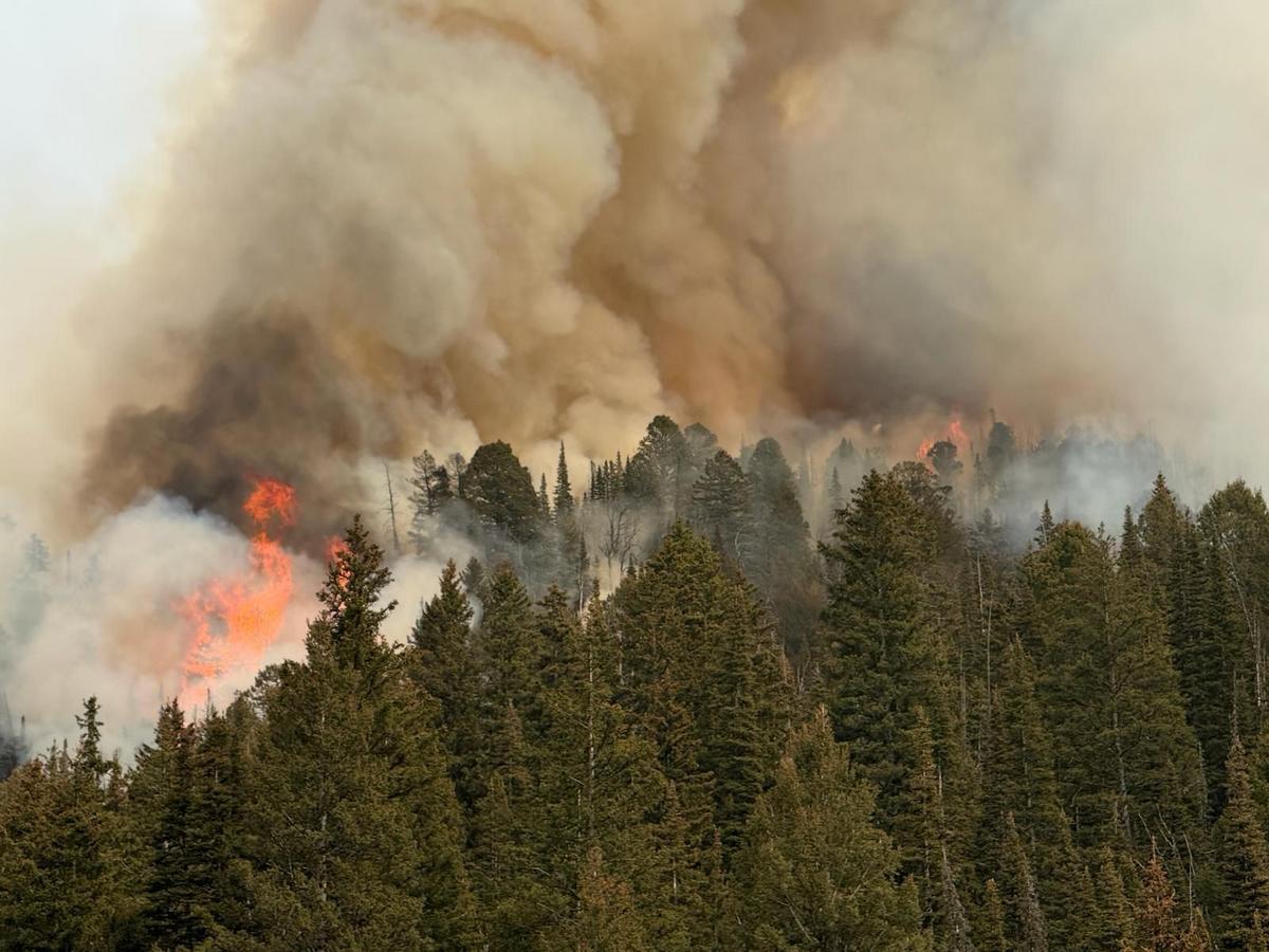 People Caused Most Montana Fires Again This Year