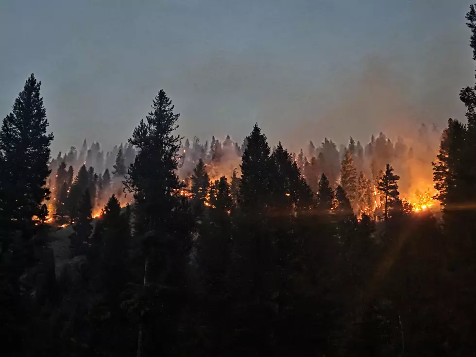 Black Bear Fire; USFS photo
