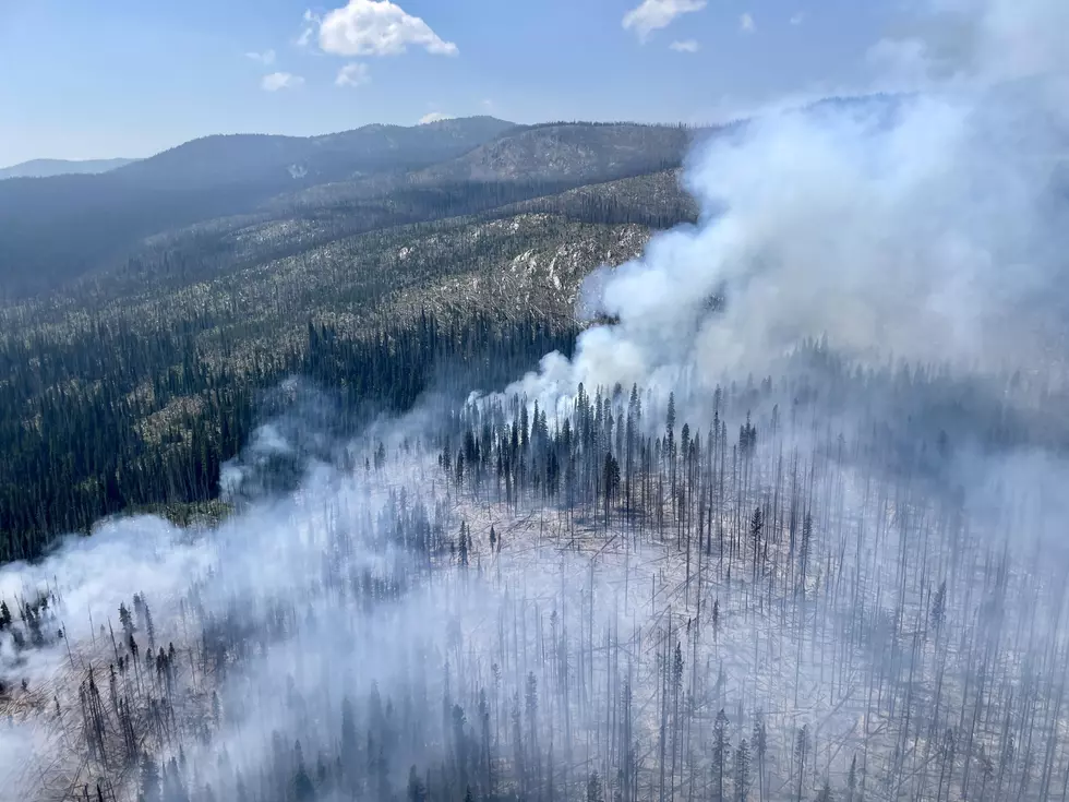 Moose Fire, Granite Co; USFS