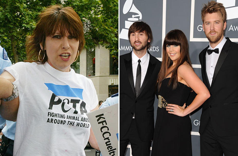Lady Antebellum Urged by Chrissie Hynde to Stick Up for Chickens’ Rights