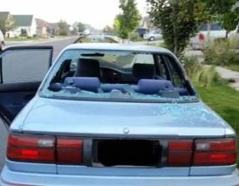 Bozeman Vandalism Spree – Reward For Information