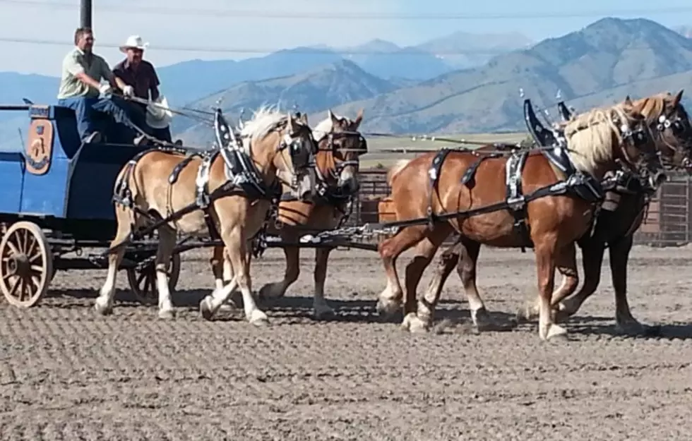 The Gallatin County Fair Has a New Name