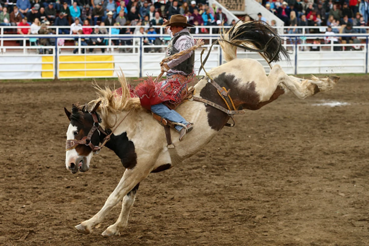 2016 Rodeo Schedule for SW Montana
