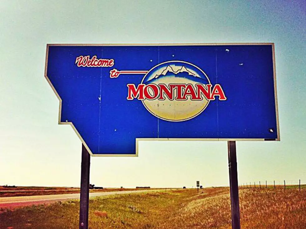 Montana Is Growing, But There’s Still More Cows Than People