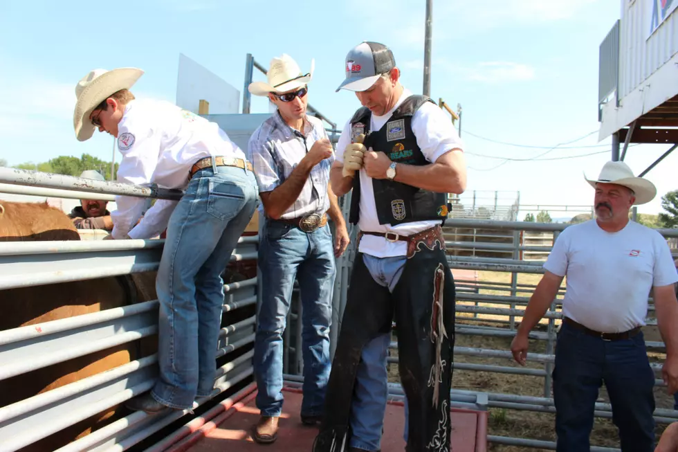 Dave Gets on the Back of a PBR Bull [Video]