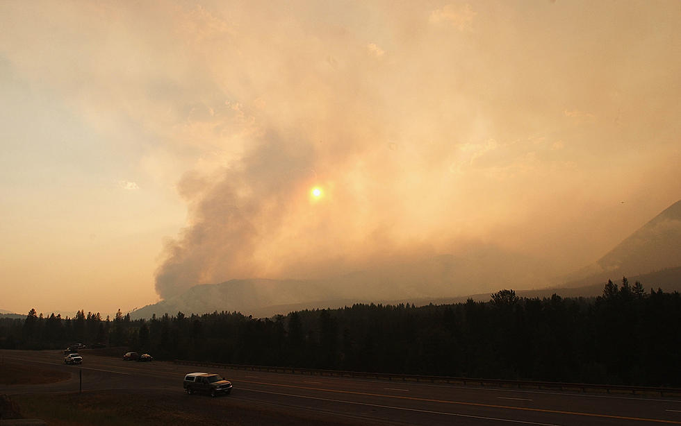 Final Update on Yellowstone Fires (Fingers Crossed)!