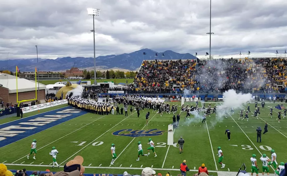Montana State vs. Southern Utah: Your Game Day Guide