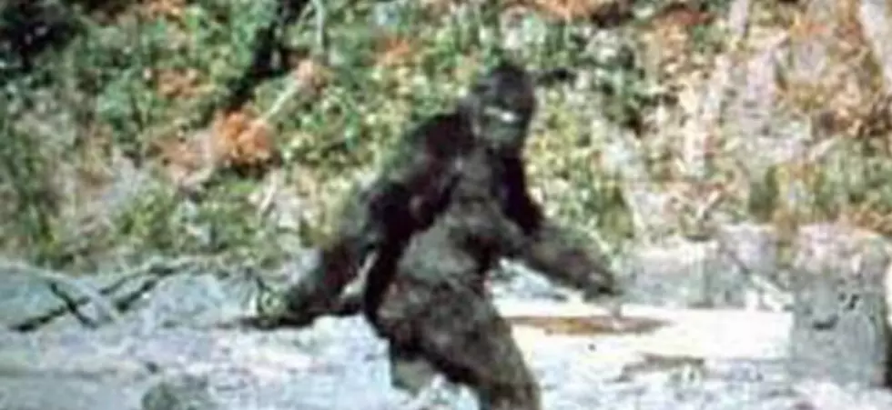 Bigfoot in Montana?