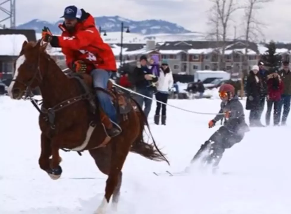 Skijoring This Weekend in Bozeman