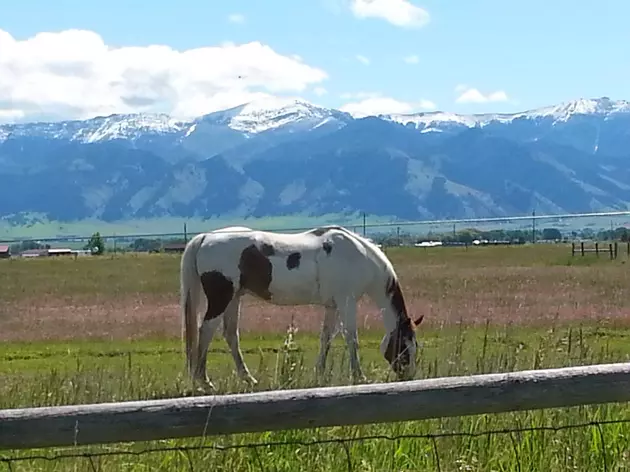 5 Things I Love About Bozeman