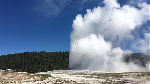 Yellowstone Sees Second Busiest June on Record