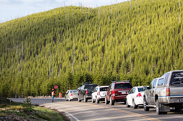 Latest Construction Update From Yellowstone National Park