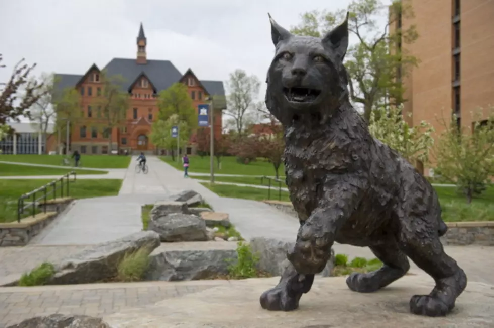 Bobcats Shine on Field & Classroom