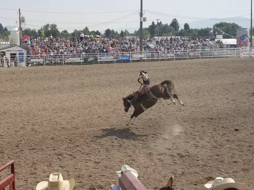 Dillon Jaycees Rodeo [PHOTOS]