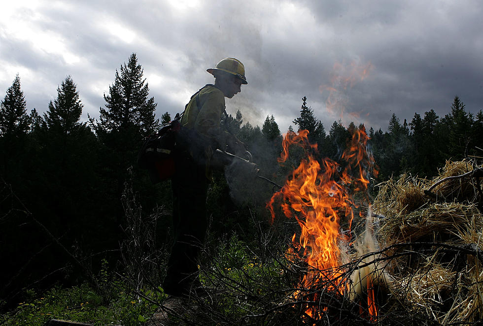 Montana Wildfires Top 1 Million Acres Burned