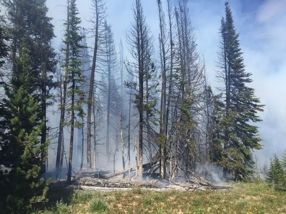 Fire South of Big Sky Burns Near Yellowstone NP