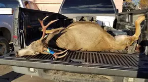 Ally&#8217;s First Montana Hunt [PICS]