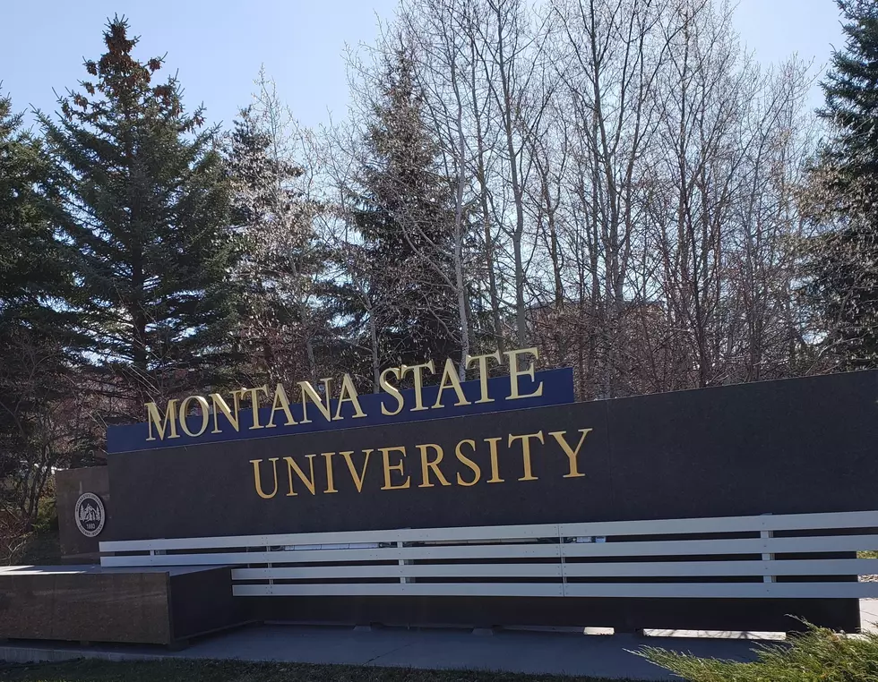 Montana State Invited To National Tournament, Here's How To Help.