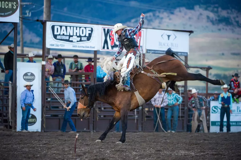 Bozeman Stampede Canceled For 2020