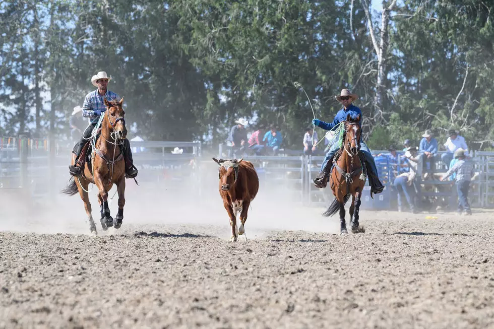 Wilsall Ranch Rodeo This Weekend