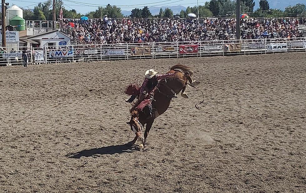 Dillon Jaycees Rodeo Approved for Labor Day Weekend