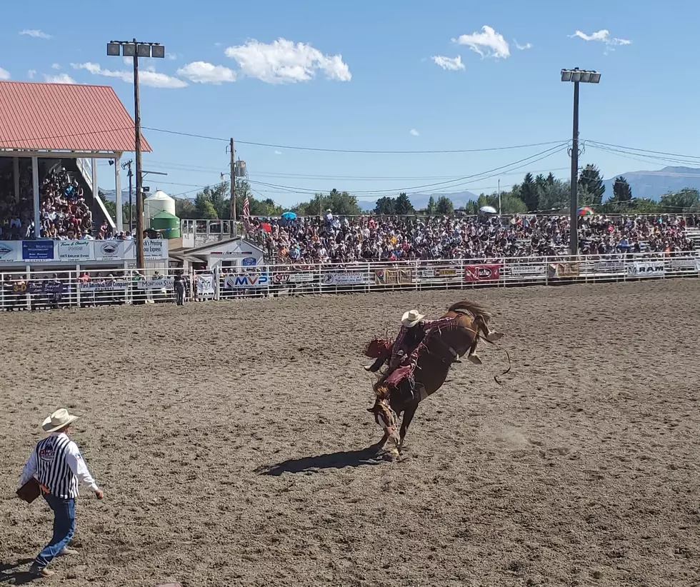 Dillon Jaycees Rodeo Approved for Labor Day Weekend