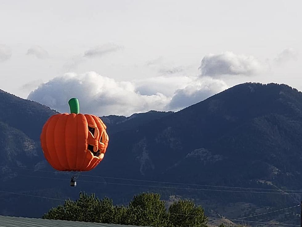 It’s the Great Pumpkin Charlie Brown and It’s in Bozeman
