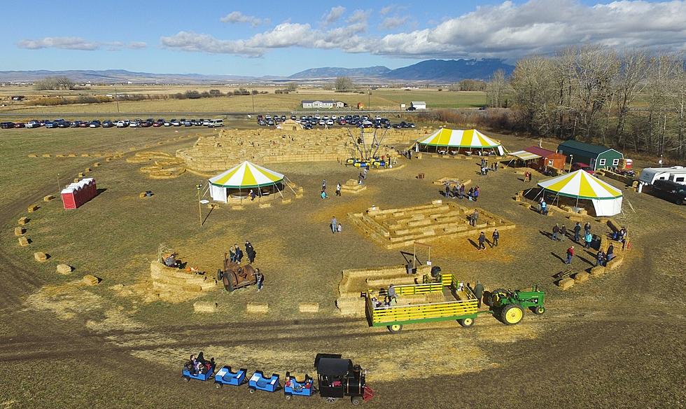 Bozeman Maze Announces Opening Date