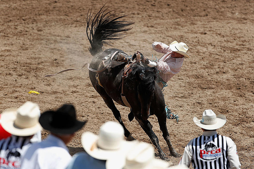 Would You Still Go to The Livingston Roundup?