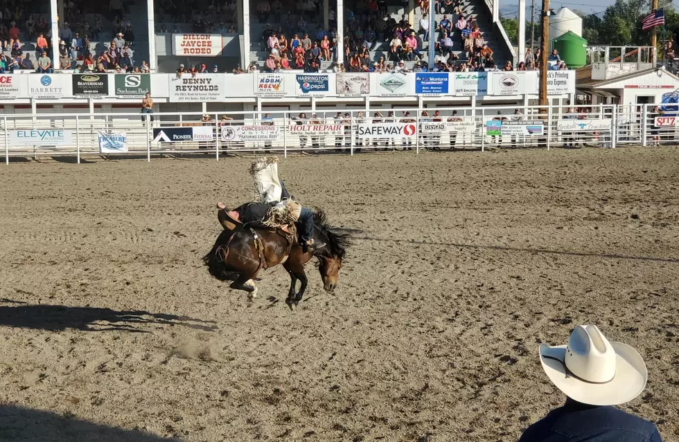 Dillon Jaycees Rodeo Pictures