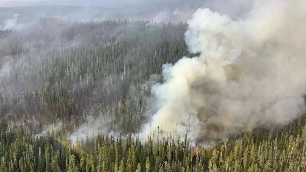 Yellowstone Fire Danger Level Lowered