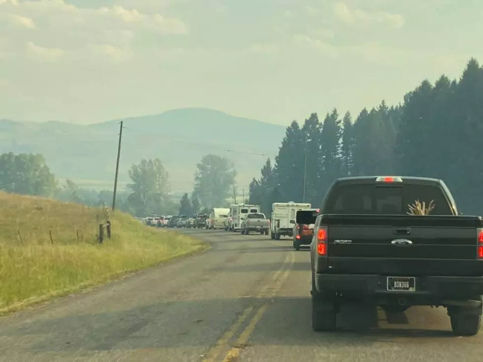 Relief & Support Day for Those Impacted by Bridger Foothills Fire