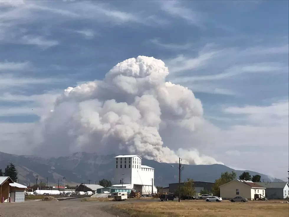 Forest Service Releases Cause of Bridger Foothills Fire