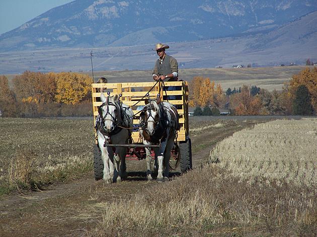 Autumn Is About Here; It&#8217;s Time For Hay Rides