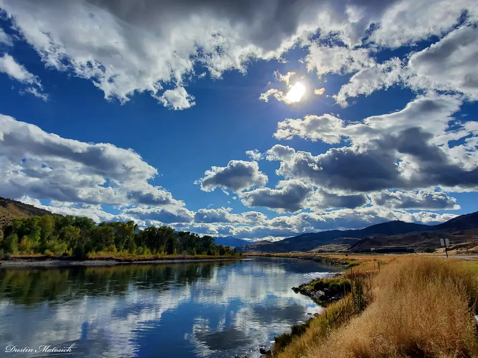 Bears &#038; Bison: Our Trip to Yellowstone in Pictures