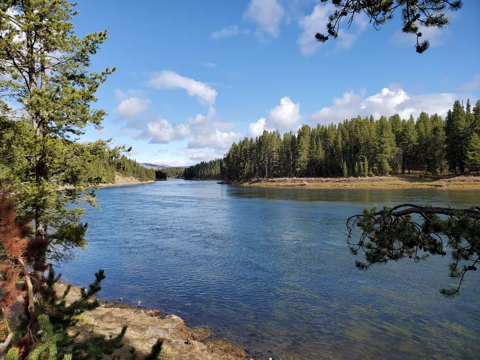 Despite COVID Closure, YNP Registers Solid Attendance in 2020