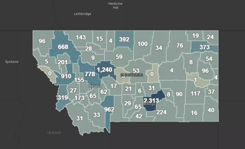 Gallatin County Reports 8th Death From COVID-19